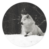 Snow Wolf Stickers