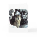 Snow Wolf  Wolves cards