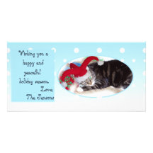 Snowball pet holiday card photo cards