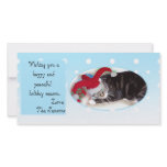 Snowball pet holiday card photo cards