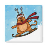 snowboard kitty magnets
