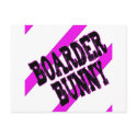 Snowboarding T-Shirts & Sweatshirts for Females! postcards