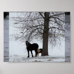 Snowdays posters