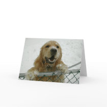 Snowdog Card