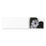 Snowdrift Aster Bumper Sticker