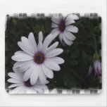 Snowdrift Aster Mouse Pad