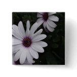 Snowdrift Aster Square Pin