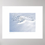 snowdrifted fence fragment posters