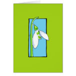 Snowdrop blue green Note Card