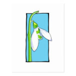 Snowdrop blue Postcard