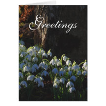 Snowdrop Card