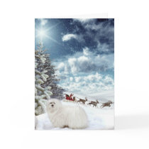 Snowdrop the Maltese Christmas Card