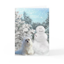 Snowdrop the Maltese Christmas Card