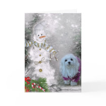 Snowdrop the Maltese Christmas Card