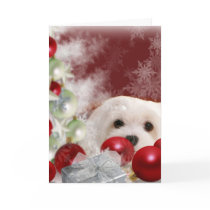 Snowdrop the Maltese Christmas Card