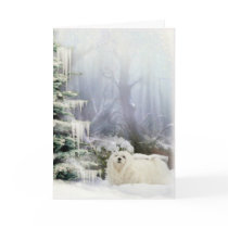 Snowdrop the Maltese Christmas Card