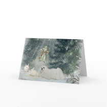 Snowdrop the Maltese Christmas Card