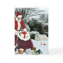Snowdrop the Maltese Christmas Card