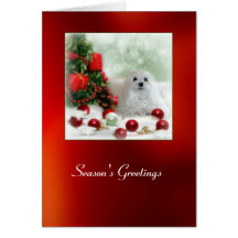 Snowdrop the Maltese Christmas Card