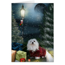 Snowdrop the Maltese Christmas Card