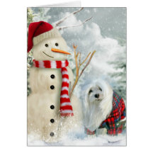 Snowdrop the Maltese Christmas Card