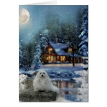 Snowdrop the Maltese Christmas Card
