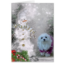 Snowdrop the Maltese Christmas Card