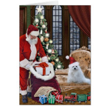 Snowdrop the Maltese Christmas Card