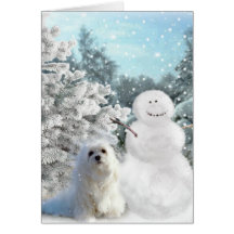 Snowdrop the Maltese Christmas Card