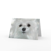 Snowdrop the Maltese Christmas/Greeting Card
