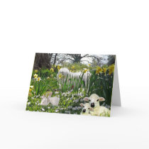 Snowdrop the Maltese Easter Card