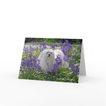 Snowdrop the Maltese Greeting Card