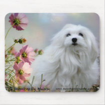 Snowdrop the Maltese Mouse Pad mousepads