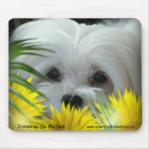 Snowdrop the Maltese Mouse Pad mousepads