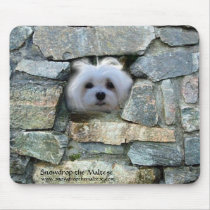 Snowdrop the Maltese Mouse Pad mousepads