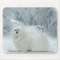 Snowdrop the Maltese Mouse Pad mousepads