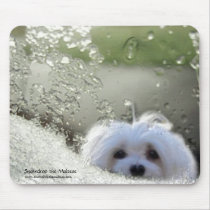 Snowdrop the Maltese Mouse Pad mousepads