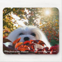 Snowdrop the Maltese Mouse Pad mousepads