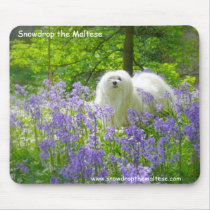 Snowdrop the Maltese mousepads