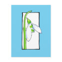 Snowdrop white blue Postcard