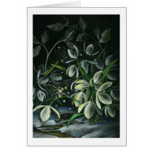 Snowdrops at Night Greeting Cards