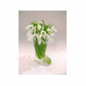 Snowdrops In The Vase photo sculptures