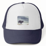 Snowdusted Bison hat