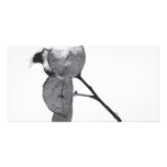 snowey leaves photo card template