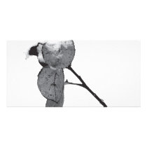 snowey leaves photo card template