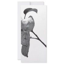 snowey leaves custom rack cards