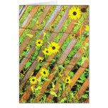 Snowfence with Sunflowers Greeting Cards