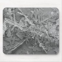 Snowflake 1