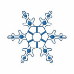 Snowflake 3 embroidered shirts