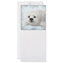 snowflake baby seal rack cards